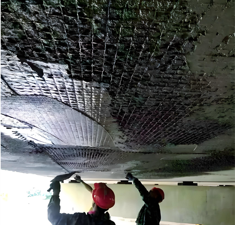 内蒙古研发新型 &ldquo;红碳&rdquo; 材料，填补光学与信息学研究空白